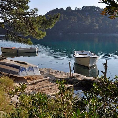 Appartement Authentic Ap For 2, Babino Polje,Mljet Extérieur photo