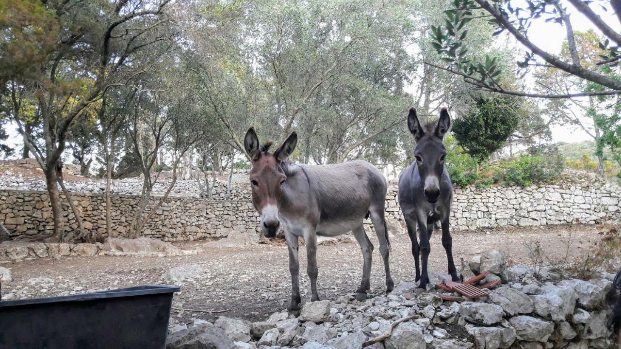 Appartement Authentic Ap For 2, Babino Polje,Mljet Extérieur photo