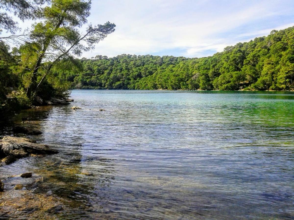 Appartement Authentic Ap For 2, Babino Polje,Mljet Extérieur photo