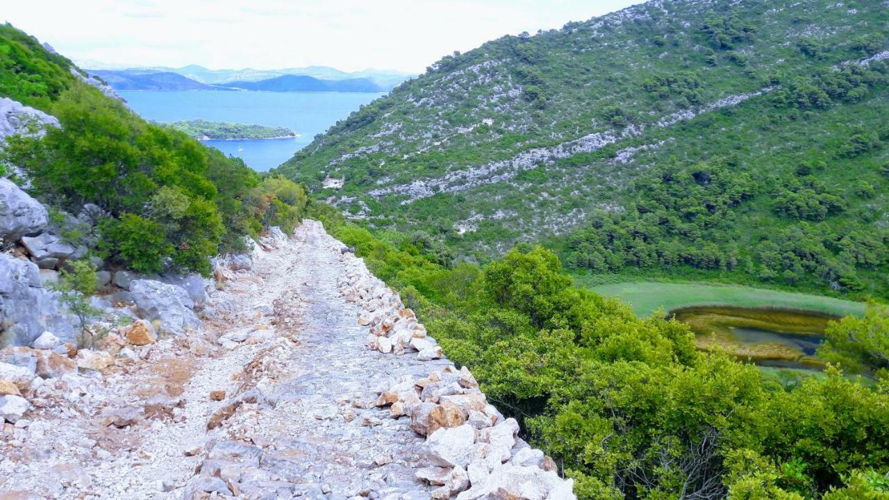 Appartement Authentic Ap For 2, Babino Polje,Mljet Extérieur photo